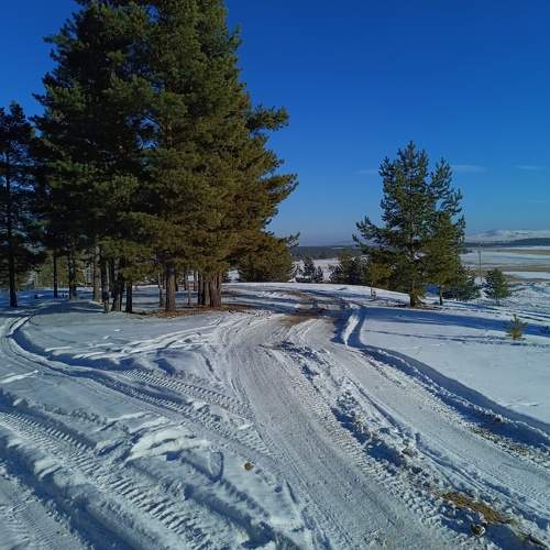 Photo #10267893