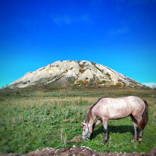 Photo #10267961