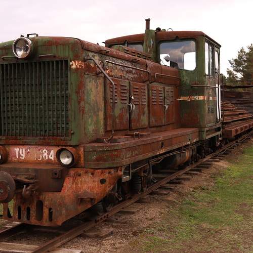 Photo #10268017