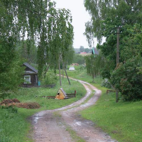 У бабушки в деревне