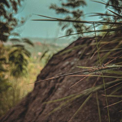Photo #10268783