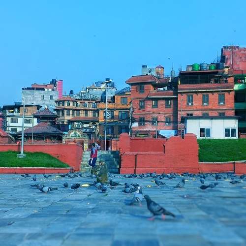 Photo #10269243