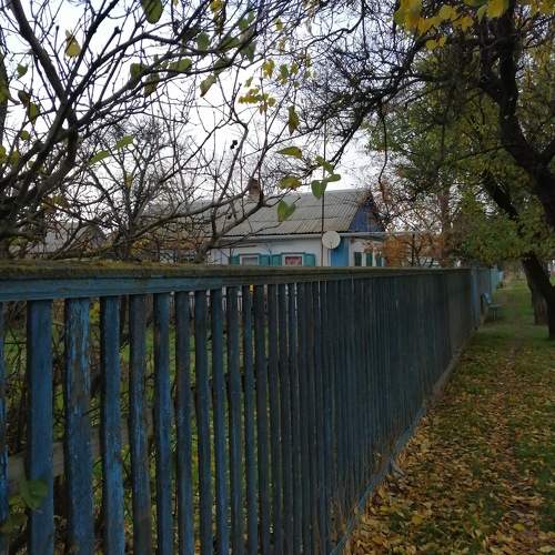 Photo #10269546