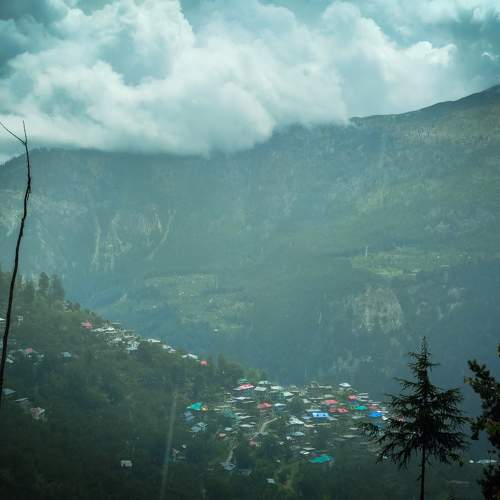 Photo #10269554