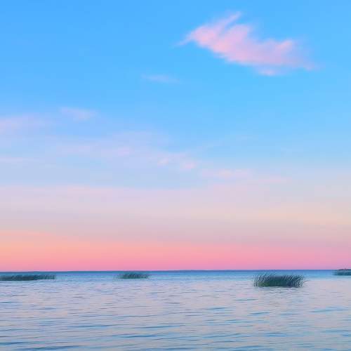 Photo #10270097