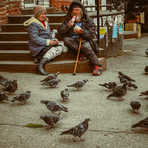 Photo #10270157