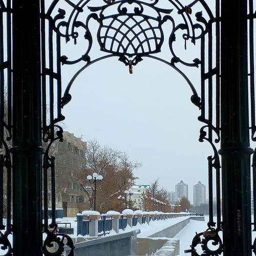 Photo #10270665