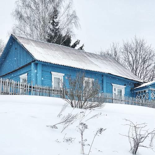 Photo #10271210