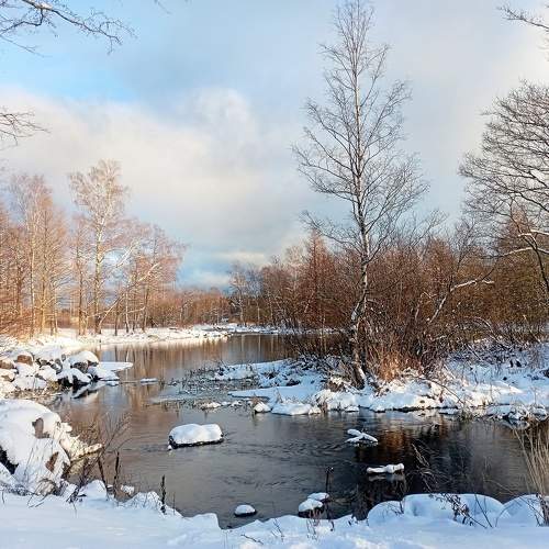 Photo #10271383