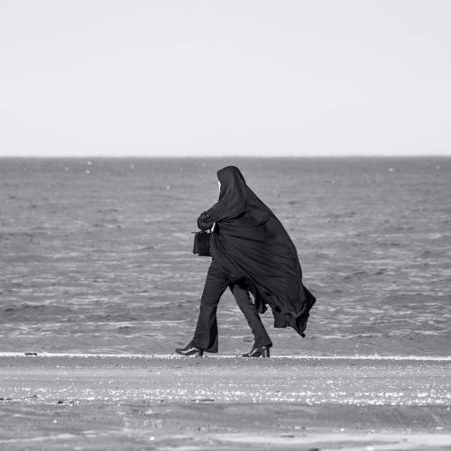 Photo #10271771