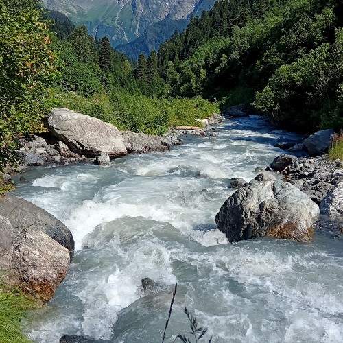 Photo #10271929