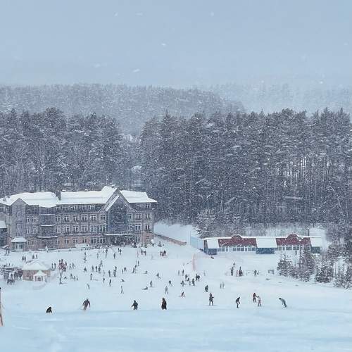 Photo #10271980