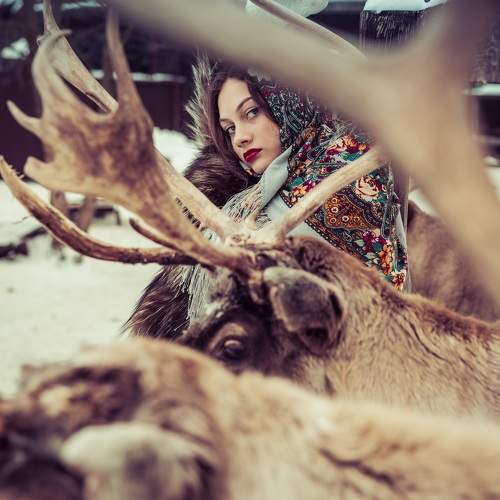 Photo #10272225