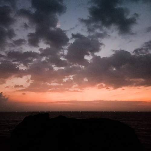 Photo #10272691