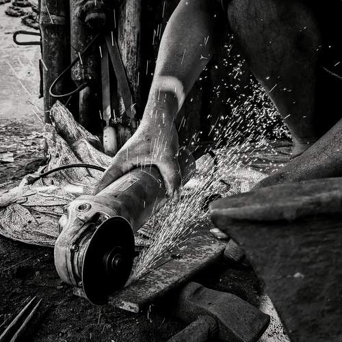 Photo #10272739