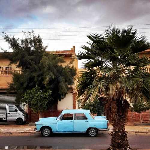 Photo #10273036