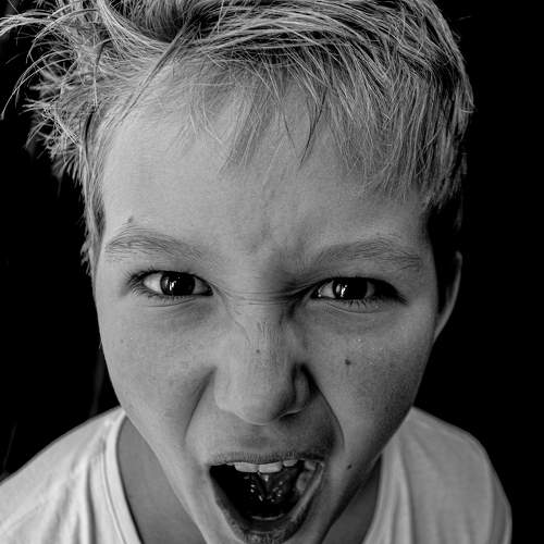 Photo #10273112
