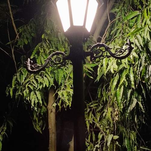 Photo #10273554