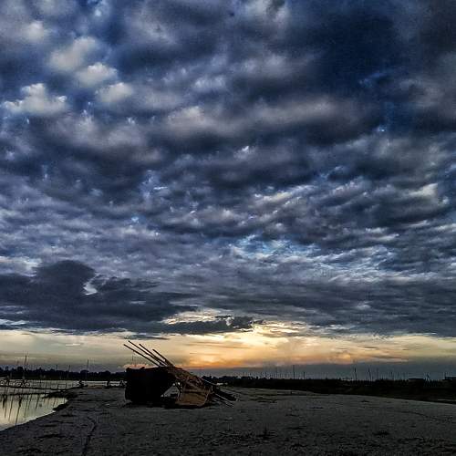 Photo #10273566