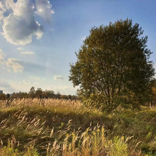 Photo #10273786