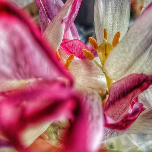 Photo #10273793