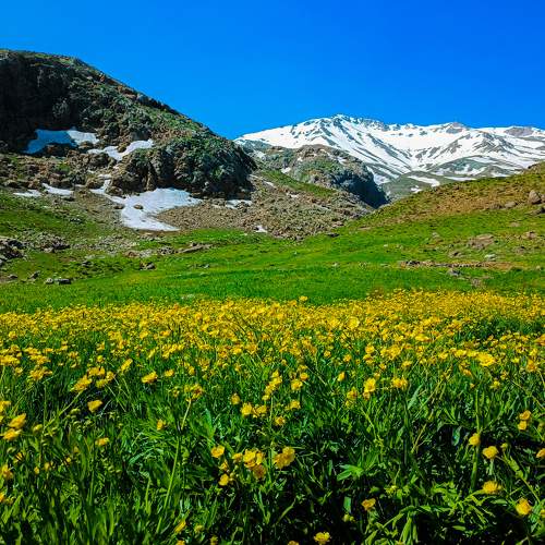 Photo #10273802