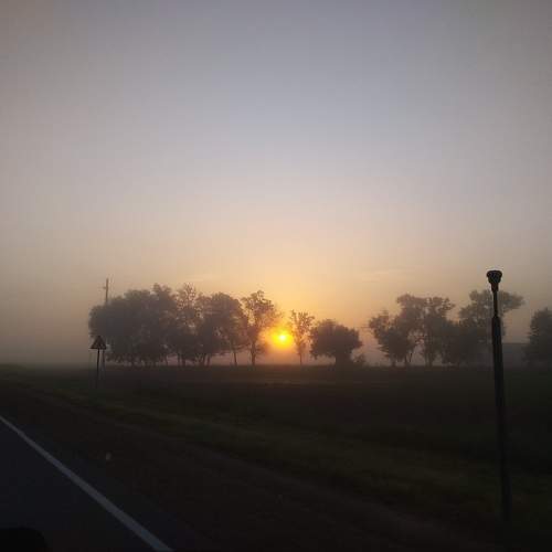 Photo #10273901