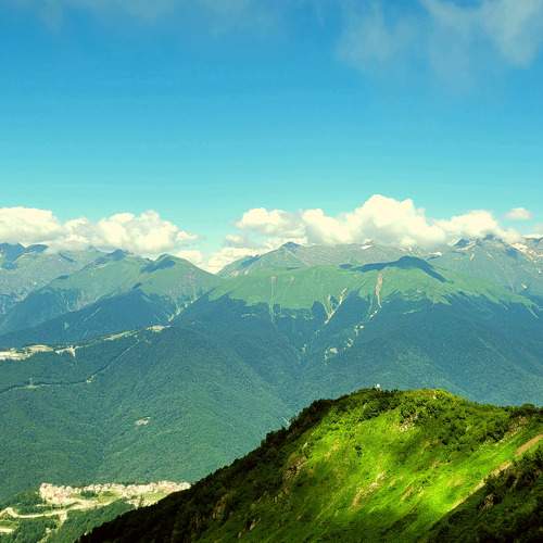 Photo #10273958