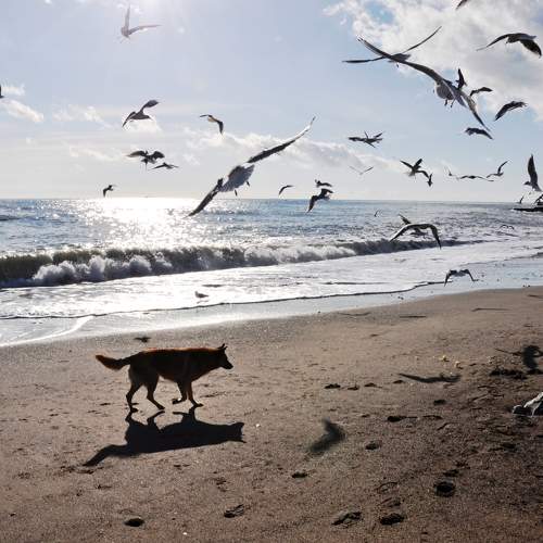 Photo #10274074