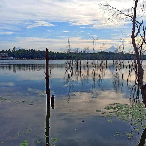 Photo #10274604
