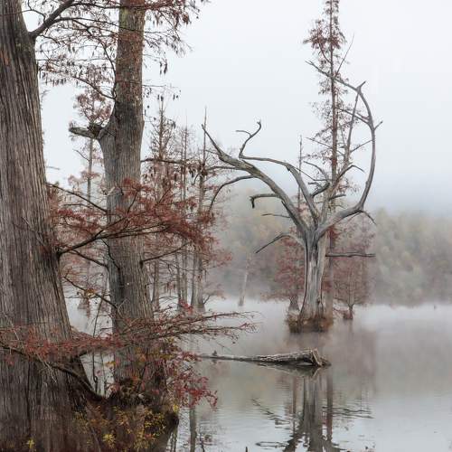 Photo #10274916