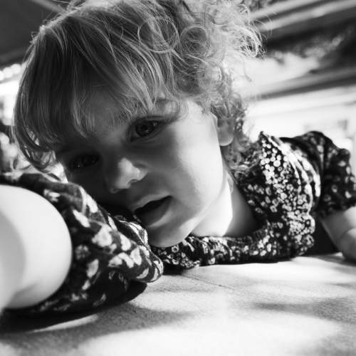 Photo #10275004