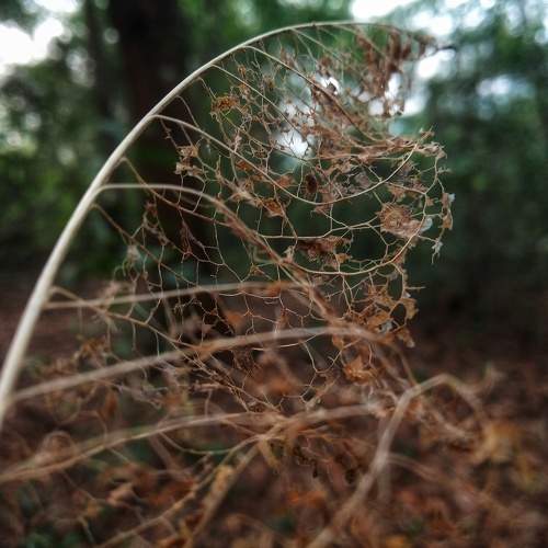 Photo #10275048