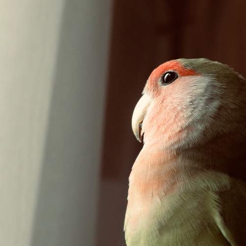 Photo #10275089