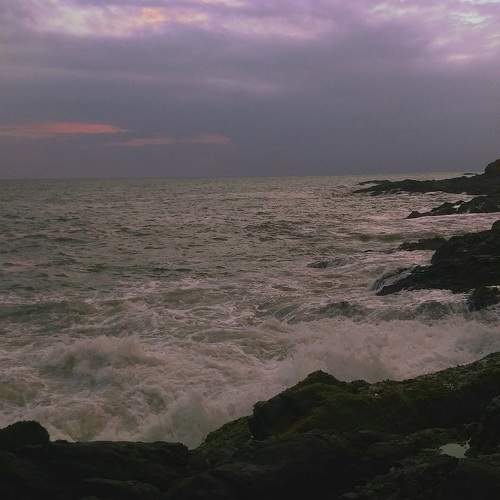 Photo #10275114