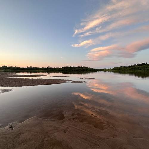 Photo #10275154