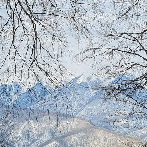 Photo #10275243