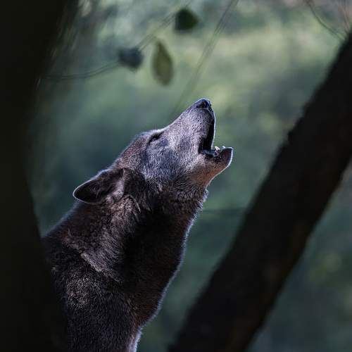 Photo #10276007
