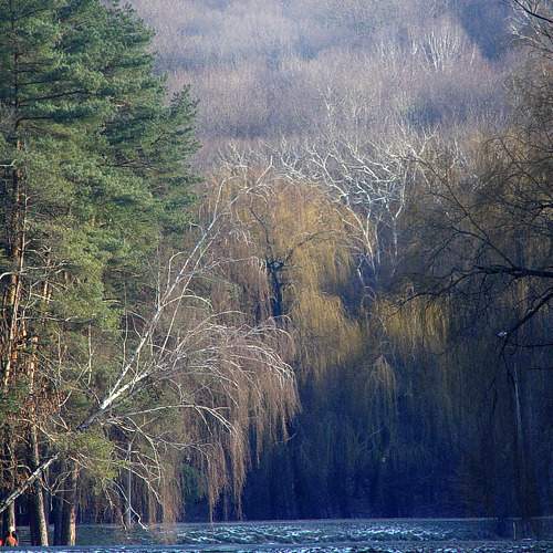 Photo #10276103