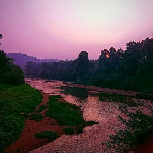 Photo #10276450