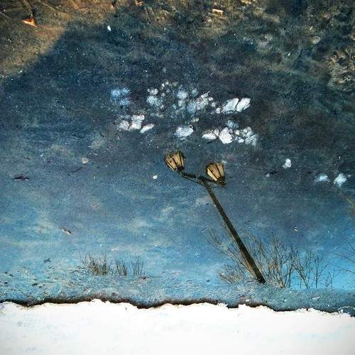Photo #10276661