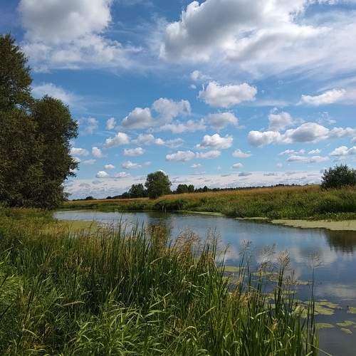 Photo #10276816