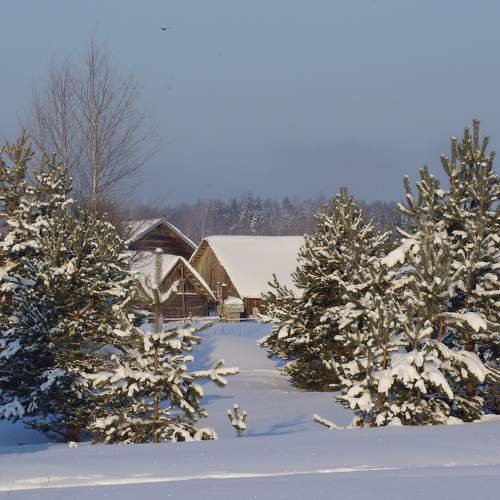 Photo #10276907