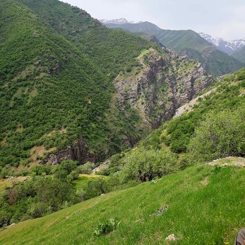 Photo #10277018