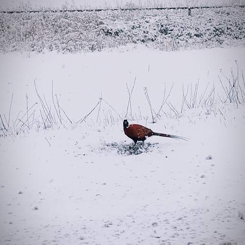 Photo #10277025