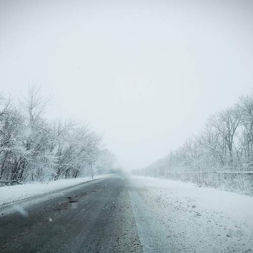 Photo #10277041