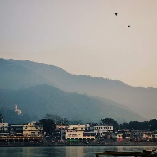 Photo #10277267