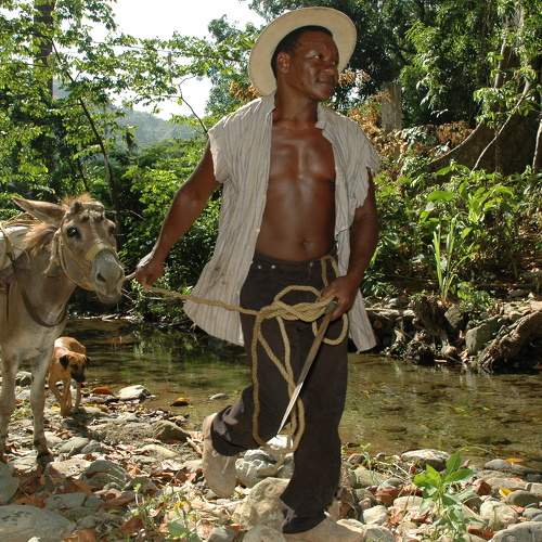 Conuquero. Osma, Edo. Vargas Venezuela