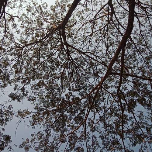 Photo #10278503