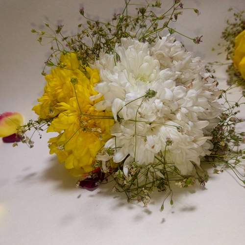 Photo #10278540